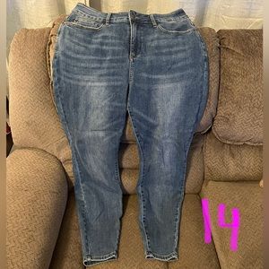 Judy Blue Non-Distressed Skinny Sz 14w